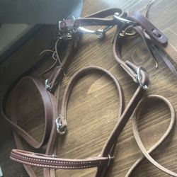 brand new bridle 