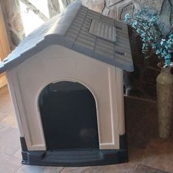 Beautiful Extra Large  House Dogs!🥰 IN JACKSONVILLE Florida! Area Westsidade  32205!