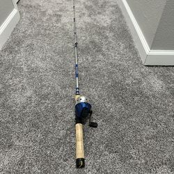 Fishing Reel and Rod 
