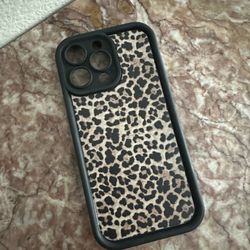 Case