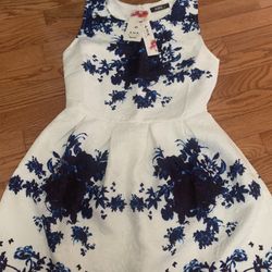 Size Medium White And Blue Floral Dress (New With Tags)