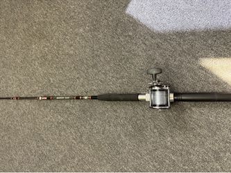 Penn senator 4/0 red and jigmaster 500 reel