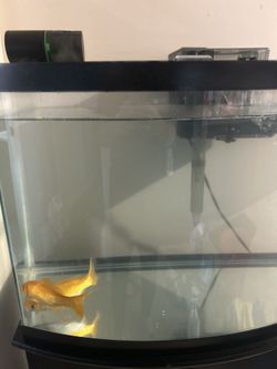 Fish Tank Table Food Feeder Filter