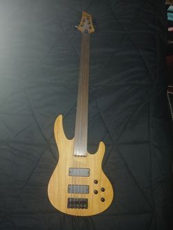 Brice 5-string fretless bass guitar