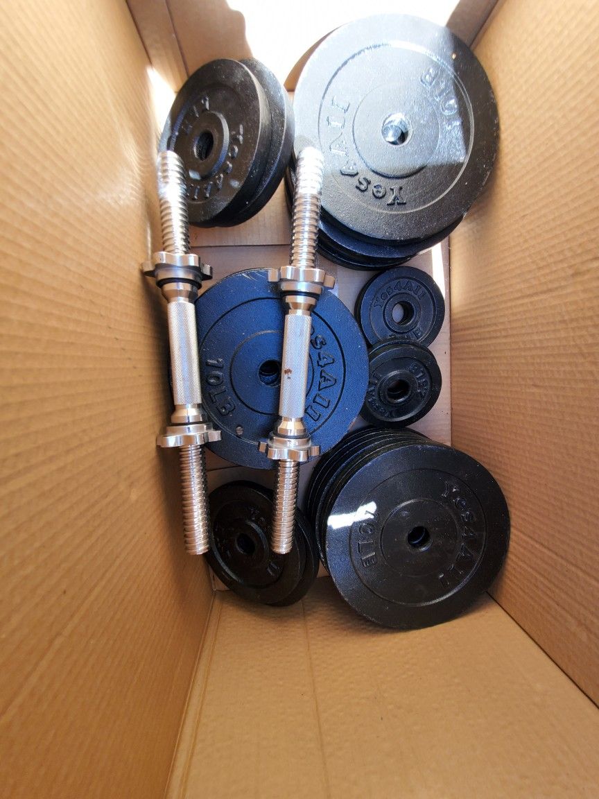 Bench And Weights