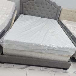 Queen Sizes Bed 