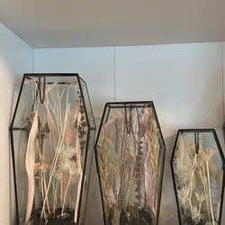 Glass Coffin Terrariums 