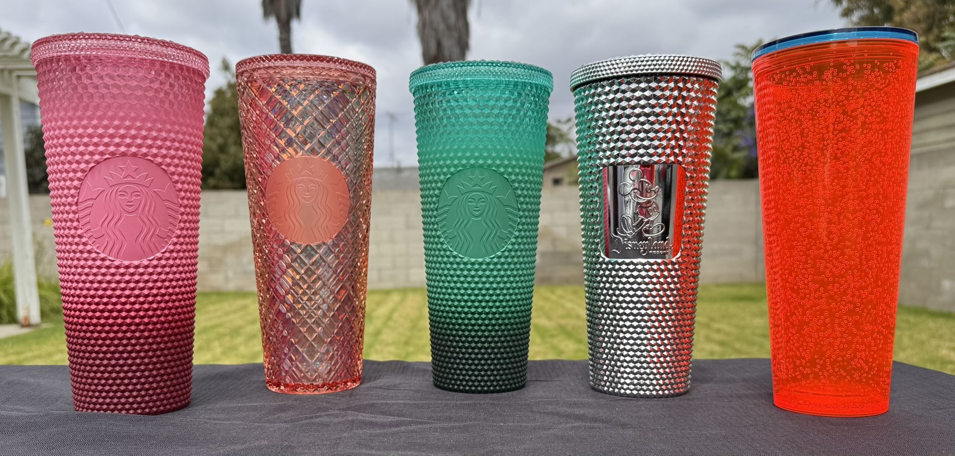 Starbucks Cups