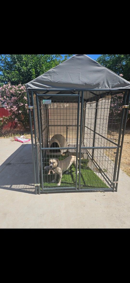 Dog Kennel NOT THE DOG