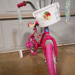 Toddler Bike 
