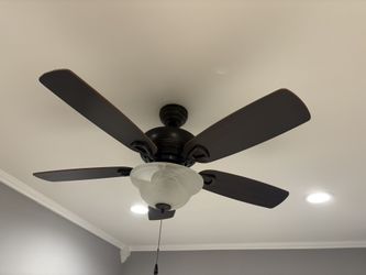 Ceiling Fans And Light (2 Available)