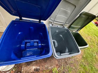Trash can cleaning 🧽