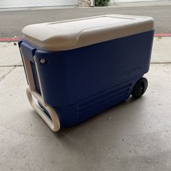 Igloo Cooler