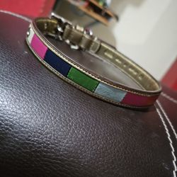 Coach Dog Collar