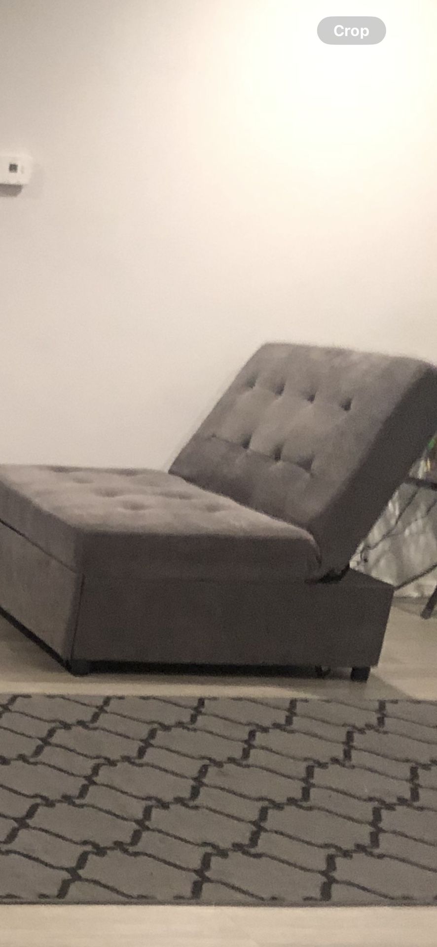 Gray Small Two Seater Couch That Turns To A Bed.