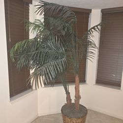 Palm Tree ARTIFICIAL HOME DECOR