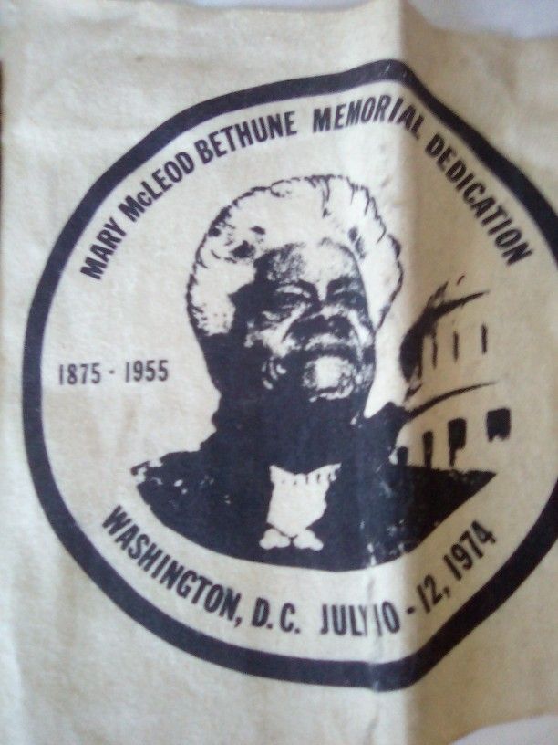 Mary  McLoad Bethune Political 
