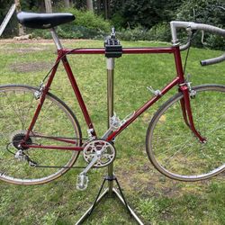 Old TREK  road Bike