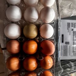 18 Farm Fresh Eggs 