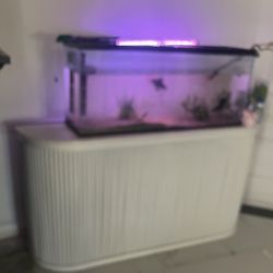 50 Gallon Fish Tank And Stand 