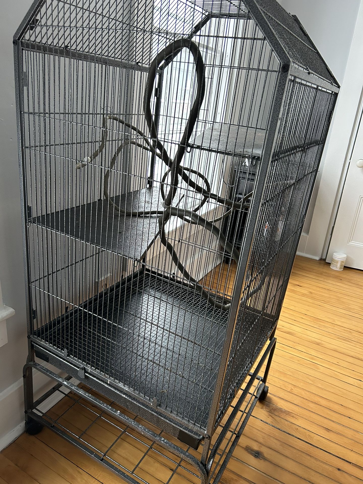 Bird Cage