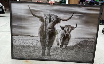 Picture decoration