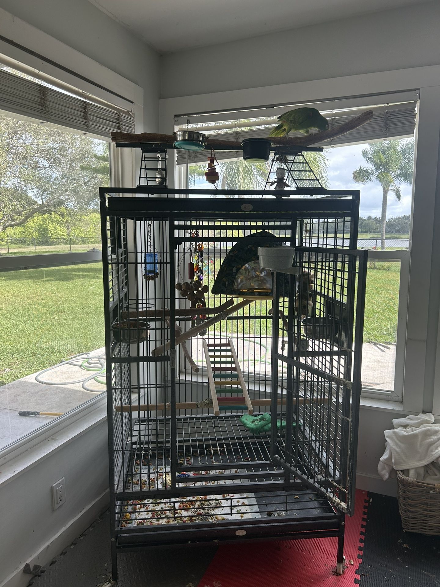 Cage