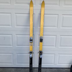 Skis (Please Read👇/East Orlando/UCF)