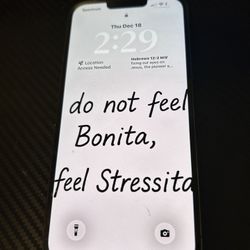 Pine Green iPhone 13 Pro Max