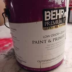 PAINT Pure White 1 Gallon Can