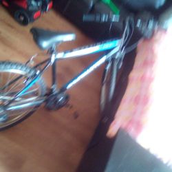 Roadmaster 26-in Mountain Bike