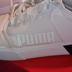 White Pumas 