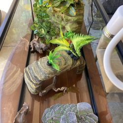 Beginner Aquarium Set (20 Gal)