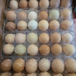 Organic Eggs 🥚 