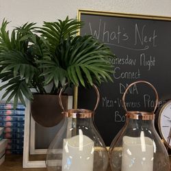 2 Rose Gold Plant Pots