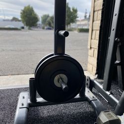 25lb Bumper Plate (reinforced Ring)