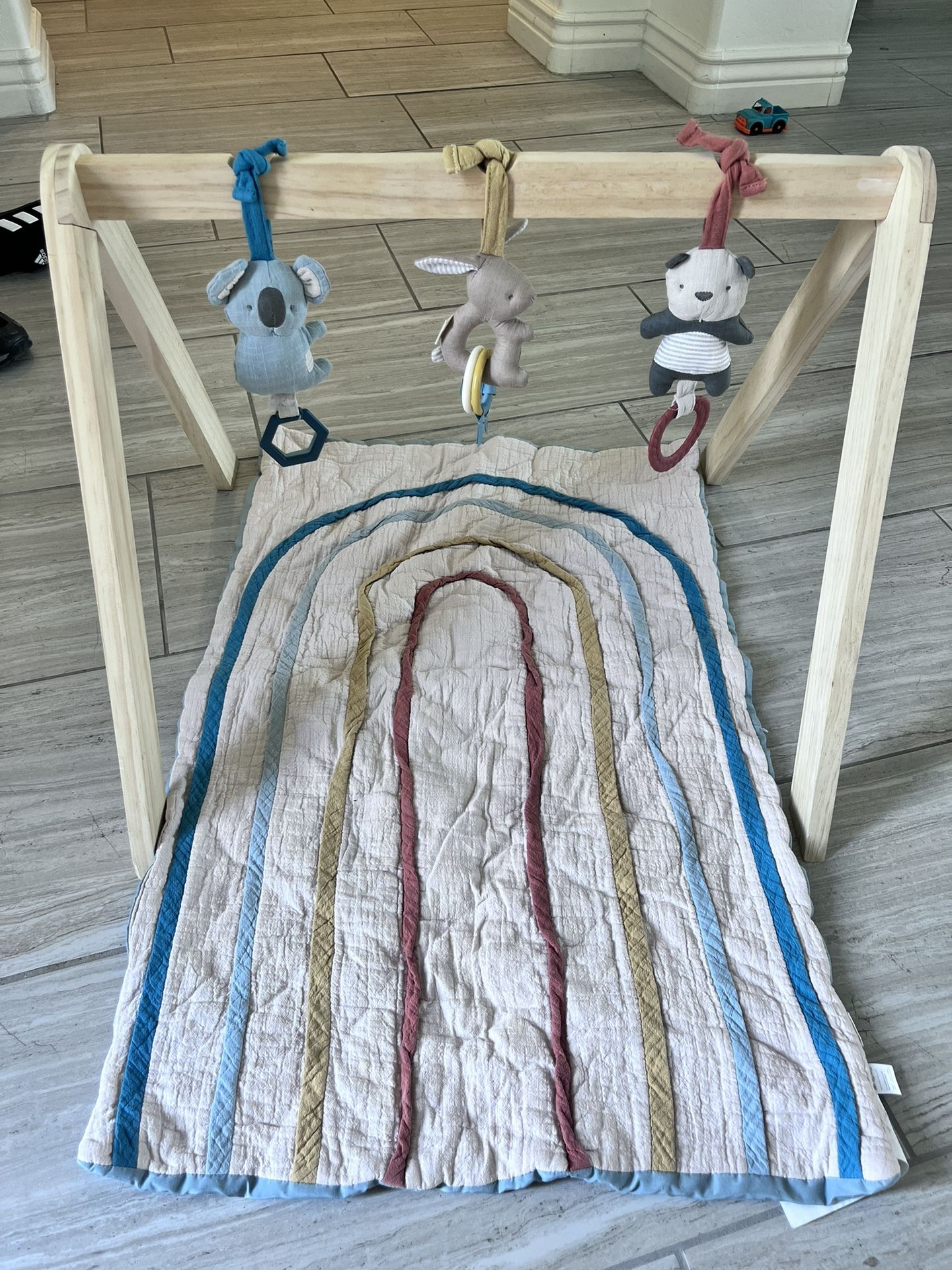 Itzy Ritzy Baby Activity Playmat