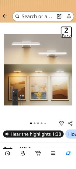 LED Wall Sconce Picture Light 2-Pack