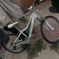 2014 Giant Areva 24 Bike 