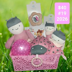 Ladybug baby girl Easter Basket