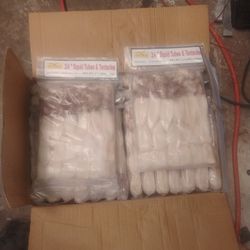 Frozen Squid 50 Lb Box