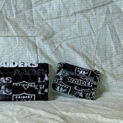 NFL Team wallets and coin purses