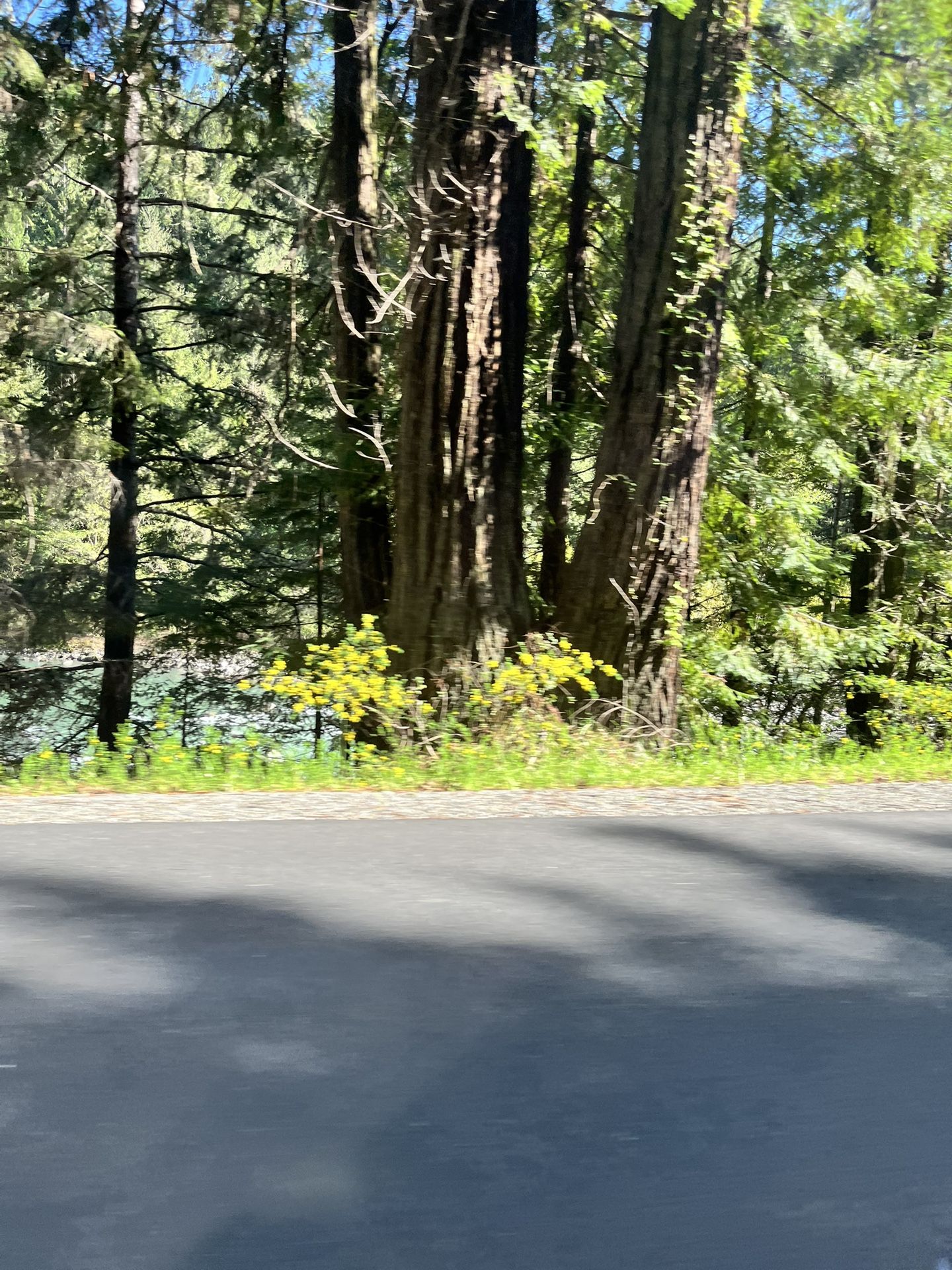 Fully Licensed Farm For Lease.