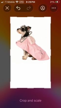 MAMORE Dog Raincoat large waterproof