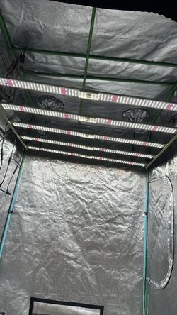 240w + 600w Kingbrite Grow Lights bundle (used)