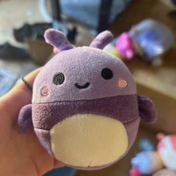 axel the purple beetle squishmallow 