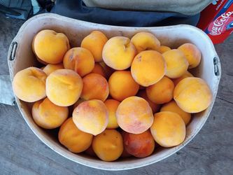 Durazno fresco y jugoso