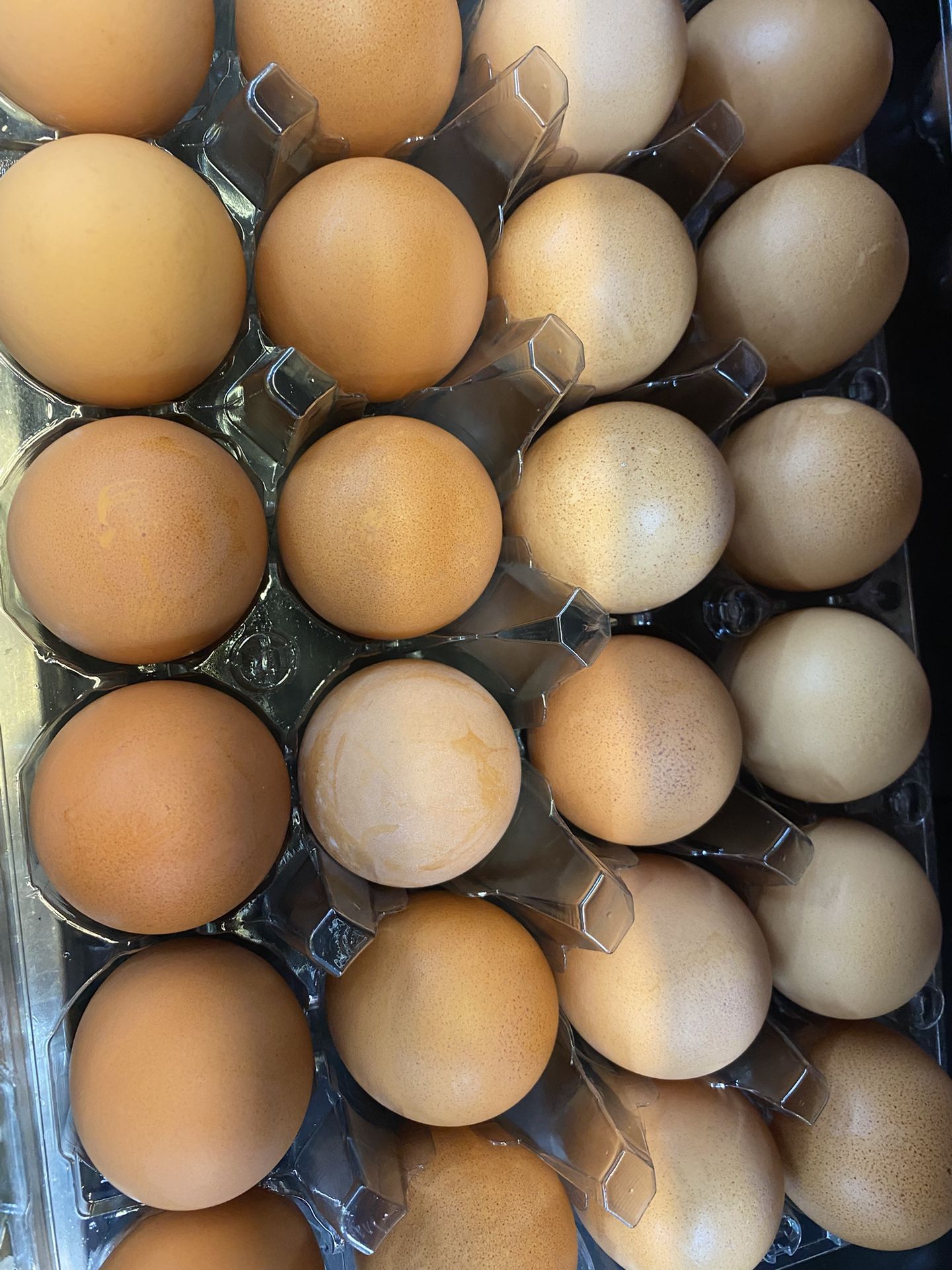 Fresh Laid Eggs Available Today $7.00 A Dozen 