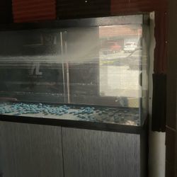 Shelf And 80 Gallon Fish Tank 