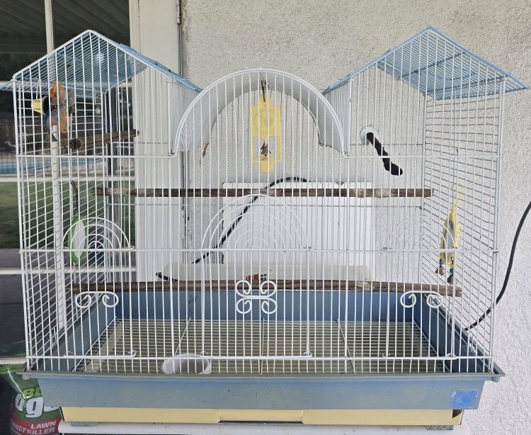 BIRD CAGE